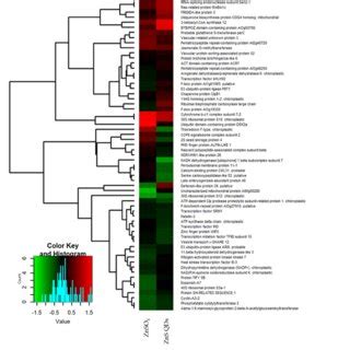 Heat Map Of Proteins Of A Halleri Identified After Separation By 2D