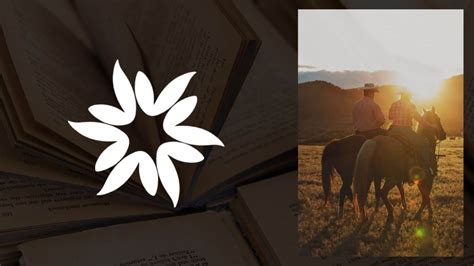 Top 11 Western Novels: Classics, Epics, Modern Takes and More