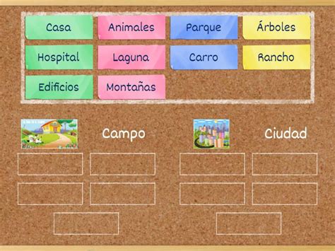 Campo Y La Ciudad Group Sort