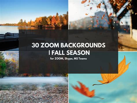 Fall zoom backgrounds - binpole