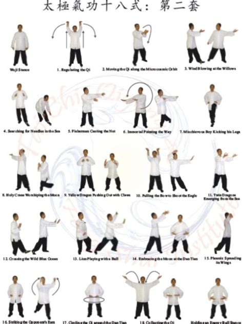 Tai chi qigong shibashi set 2 poster – Artofit