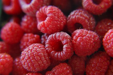 Pile Of Red Raspberry Hd Wallpaper Wallpaper Flare