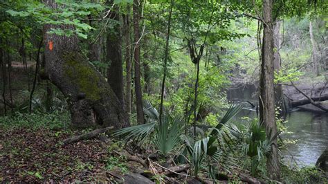 Hiking Live Oak – Florida Hikes