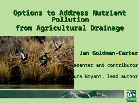 Ppt Options To Address Nutrient Pollution From Agricultural Drainage