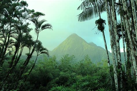 La montagne Pelée et les pitons du nord de la Martinique inscrits au