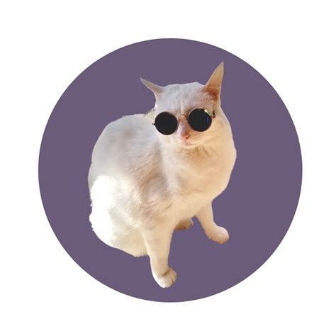 Join The Cool Cats — Superior Feline