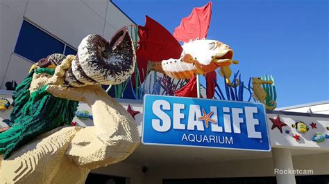 Sealife Aquarium Tour And Fun Activity At Legoland California Bonus