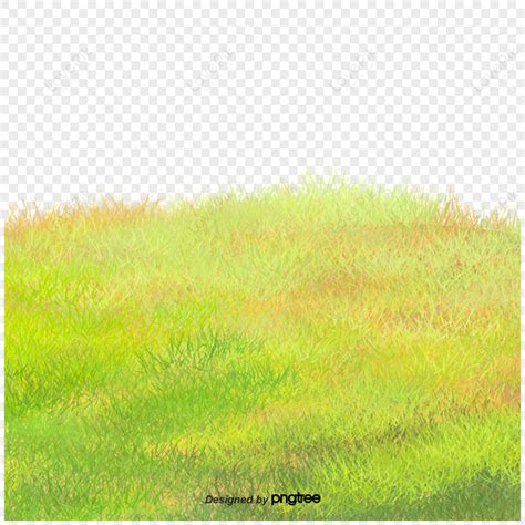 Grassland Cartoon PNG Images With Transparent Background | Free ...