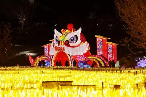 北京跨年又有一好去处，北京世园花灯艺术节多个活动迎接元旦 公园 游客 派对