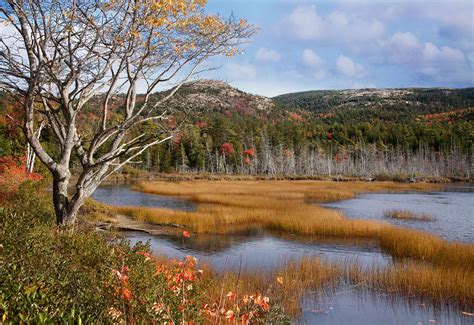 Acadia National Park | Coastal Trails, Wildlife, Hiking | Britannica