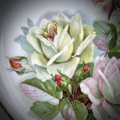 Antique Cabinet Plate Carl Tielsch Altwasser Silesia White Pink Roses