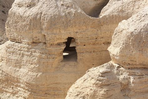 The Dead Sea Scrolls - Olive Tree Blog