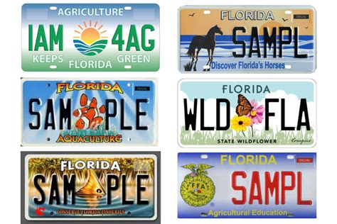 Commercial Truck License Plates In Florida at Renee Neumann blog