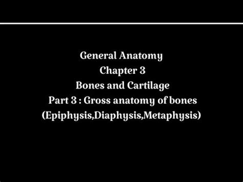 General Anatomy | Chapter 3 | Bones and cartilage | Part 3 | Diaphysis ...