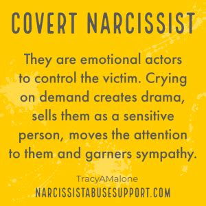 What Is A Covert Narcissist? - Unveiling The Hidden Facade