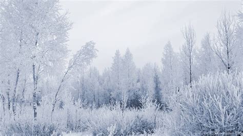 Wallpapers Snow Forest Landscapes Nature Winter Land 1920x1080 ... Desktop Background