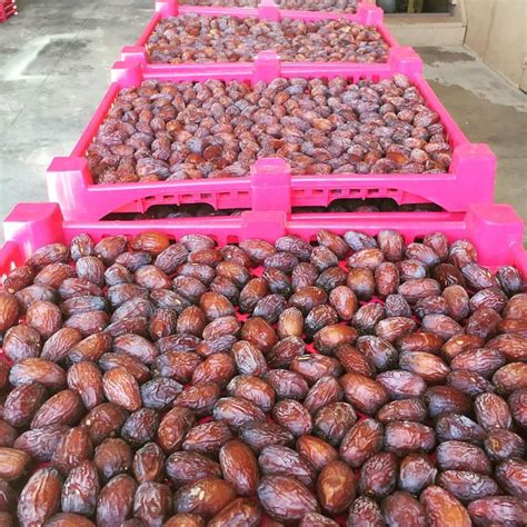 USA Medjool Jumbo Dates - MomoBud