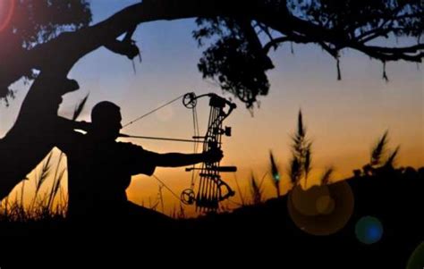 Types Of Bowhunting Gear Every Bowhunter Should Own