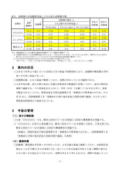 令和6年産 5年播 麦生育情報no 6 高島地域農業センター