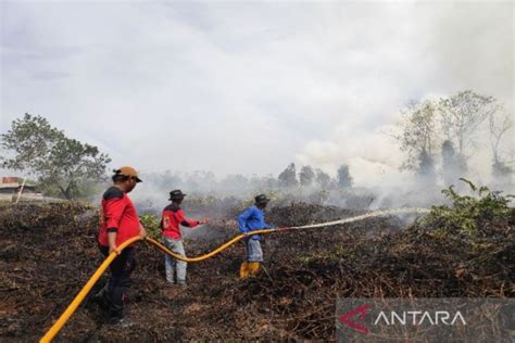 Kecamatan Jekan Raya Dan Sebangau Di Palangka Raya Jadi Prioritas