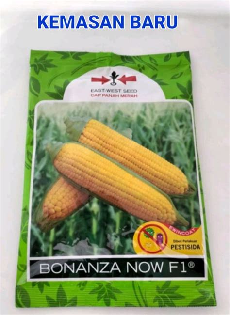 Benih Jagung Manis Bonanza Now F Cap Panah Merah Butir Lazada