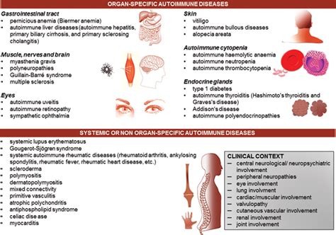 Introductory Chapter Immune System Dysfunction And Autoimmune Diseases