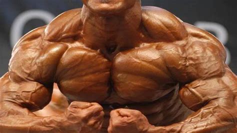 7 Exercises Make Your Shoulder and Traps Grow Fast | 7 Exercises Make ...