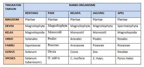 Urutan Takson Pada Tumbuhan Studyhelp