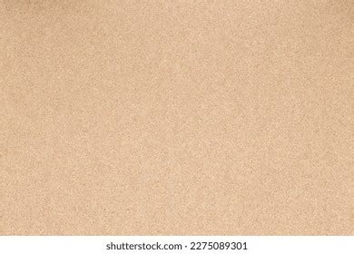 Empty Blank Cork Board Texture Stock Photo Shutterstock