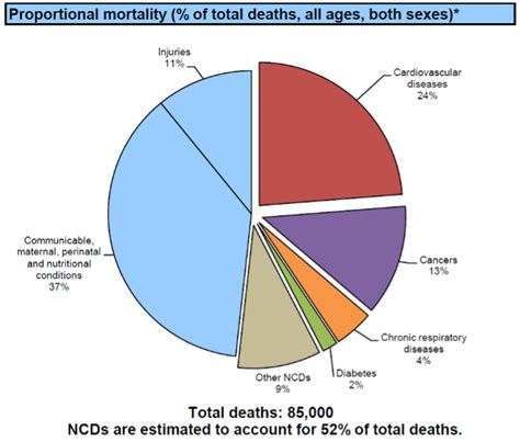 Non Communicable Disease Lifestyle Health Promotion Adra Asia