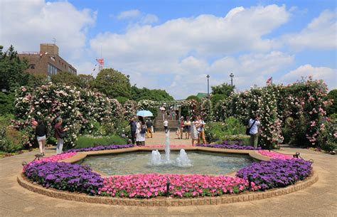 横浜とバラの歴史を刻み続ける「港の見える丘公園」 Gardenstory ガーデンストーリー