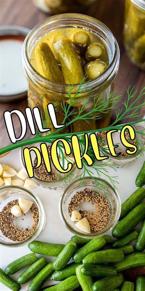 Homemade Dill Pickles Recipe Recipe Easy Pickling Recipes Pickling Recipes Pickle Recipes