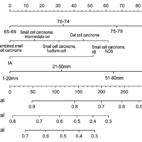 A Nomogram For Prediction Of And Year Lung Cancer Specific