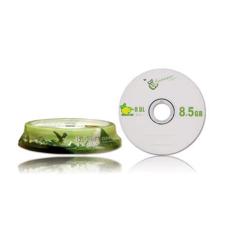 Blank DVD Discs 8.5GB - housepartyonline