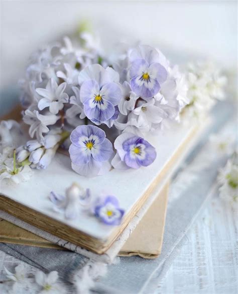 fleur aesthetic | Amazing flowers, Book flowers, Pretty flowers