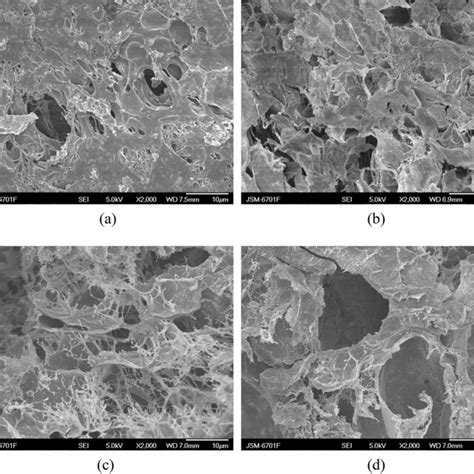 Sem Micrographs Of The St G Paa Pva Hydrogels With A B