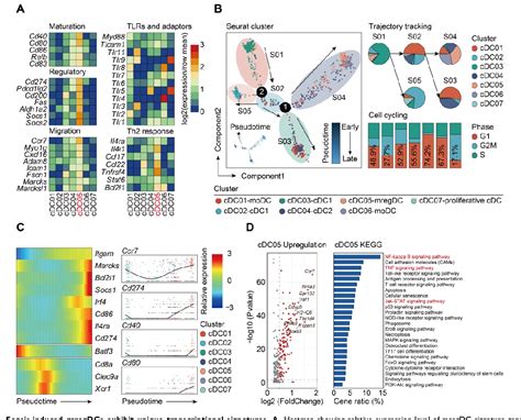 Figure 1 From Single Cell Transcriptome Profiling Of The Immune Space