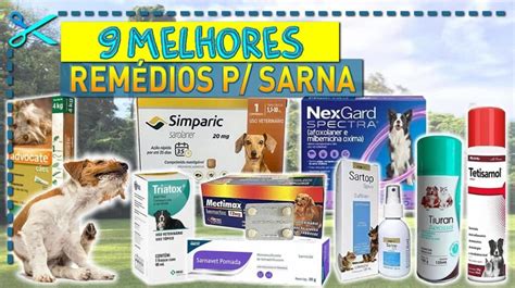 Melhores Rem Dios Para Sarna De Cachorro Cupom Mestre