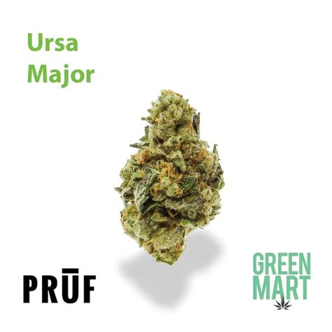 Ursa Major | Green Mart Beaverton