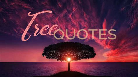 175 Tree Quotes About Life, Love, and Hope to Inspire Action | LouiseM