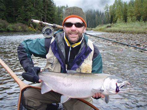 Skeena river fishing guides for Salmon & Steelhead: Coho salmon fishing