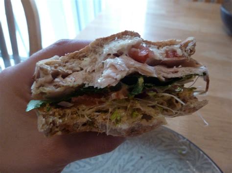 Tiny Ideas: Amazing Turkey Sandwich - 209 Calories