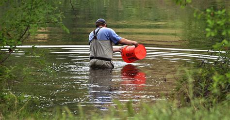 Major Stretch Of San Joaquin River To Flow Year Round In Effort To