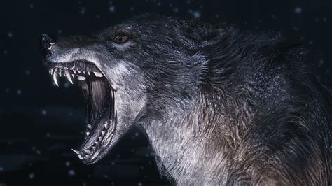 HD wallpaper: Where Wolf, spirit, mythical, black, wild animal black ...