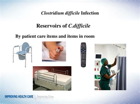 PPT Clostridium Difficile Infection PowerPoint Presentation Free