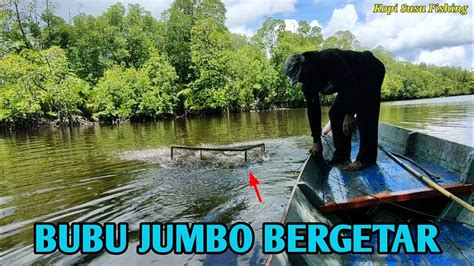 Angkat Bubu Jumbo Isinya Ikan Dan Udang Galah Jumbo Juga Youtube