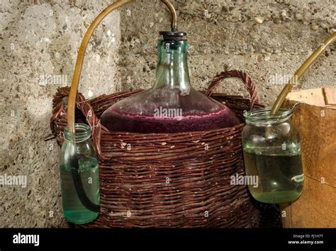 Fermentation Process Of Wine