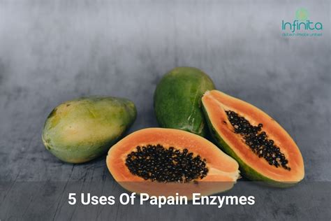 5 Uses Of Papain Enzymes You Never Knew | Infinita Biotech