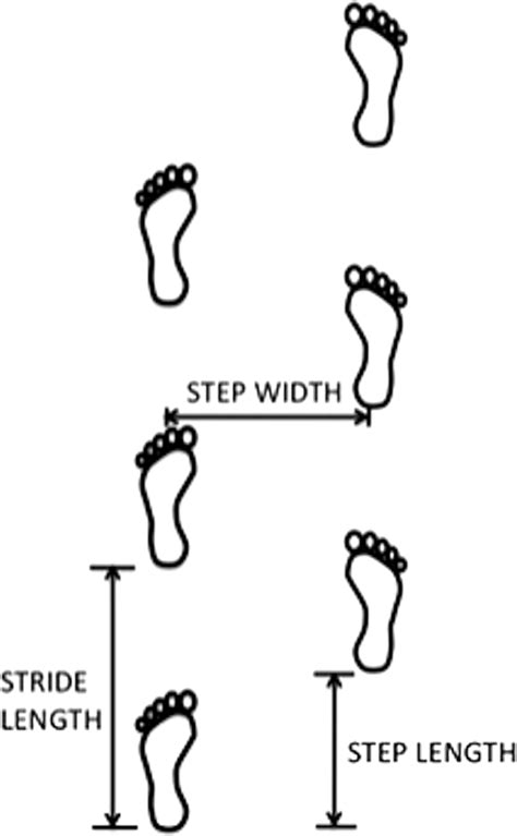 Gait Parameters Illustration Of Gait Parameters Including Step Width