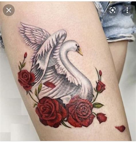 Pin By Becky Thomas On Tattoo Feb 2 Swan Tattoo Tattoos Flower Tattoo